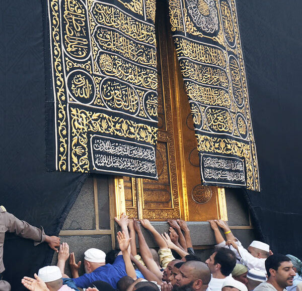 FalconTravel | Where Elite Travel Begins