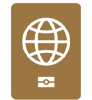 Entry visa icon