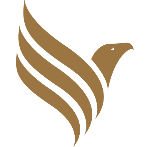 Falcon Travel