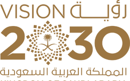 Falcon Travel – Saudi 2030 Vision Falcon Travel - Saudi 2030 Vision